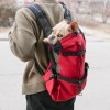 French Bulldog Backpack