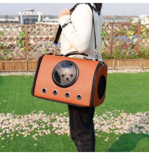 Dachshund Carry Bag